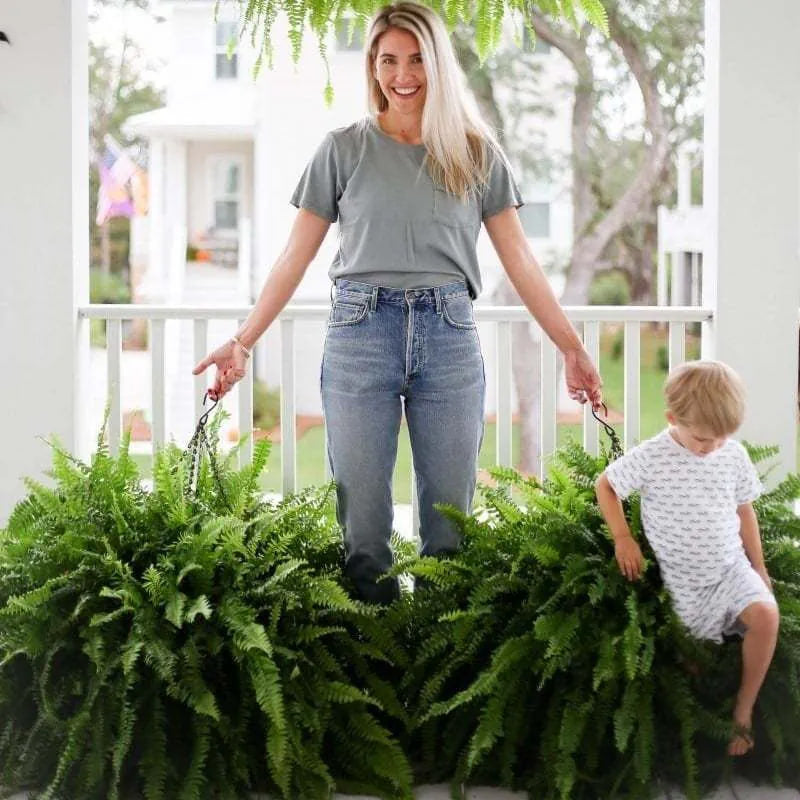 🔥On Sale Only Today 🌱 UV-Resistant Lifelike Artificial Boston Fern