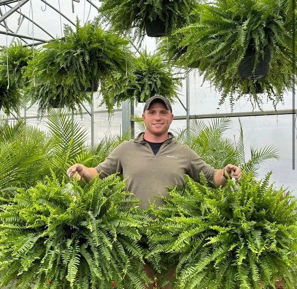 🔥On Sale Only Today 🌱 UV-Resistant Lifelike Artificial Boston Fern